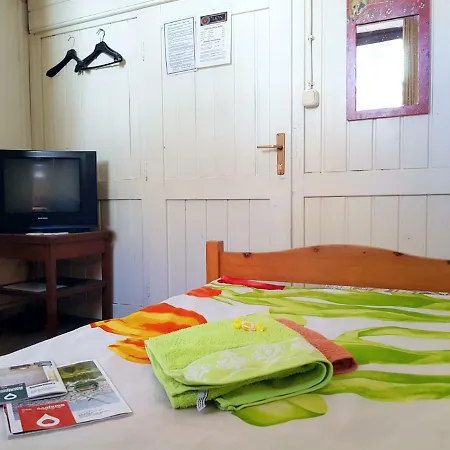 Hostel Pansion Lion